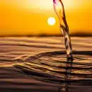 water drop on brown sand during sunset